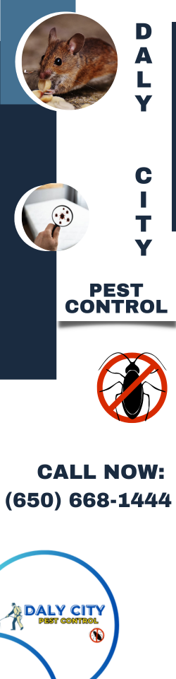 Novato, CA Pest Control