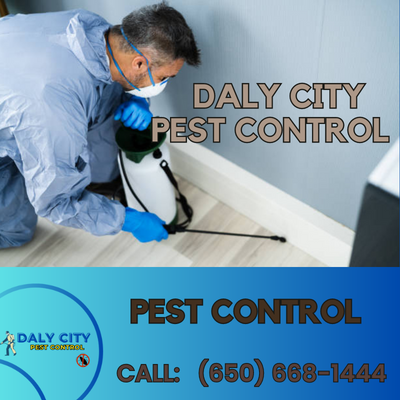 Daly City Pest Control for All Your Pest Control Needs