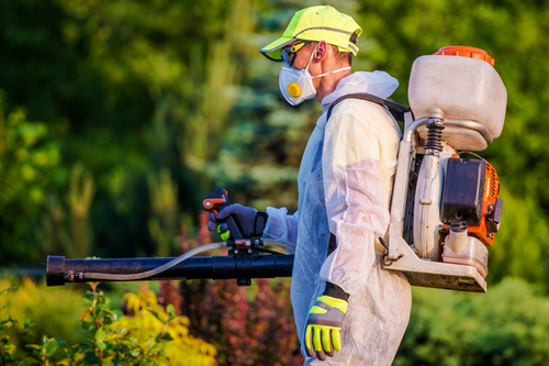  Eco-Friendly Chemical Pest Management in Pacifica, CA