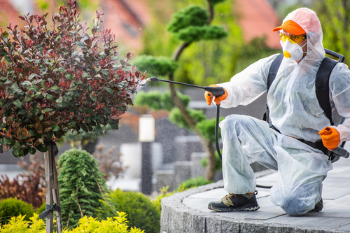 Eco-Friendly Chemical Pest Management in Dublin, CA