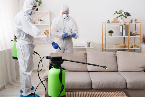  Safe Chemical Pest Solutions for San Ramon, CA Homes