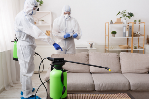  Advanced Chemical Pest Solutions - San Rafael, CA Pest Control