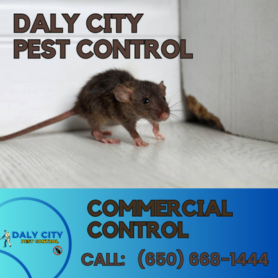 Daly City Commercial Pest Control - Professional Pest Solutions for Businesses