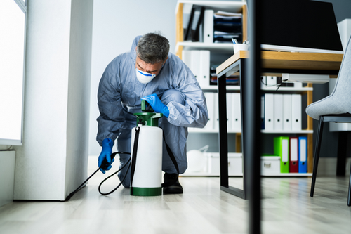  Proactive Commercial Pest Management in San Francisco, CA