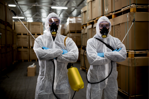 Top Commercial Pest Control Services in Walnut Creek, CA -- Protect Your Business