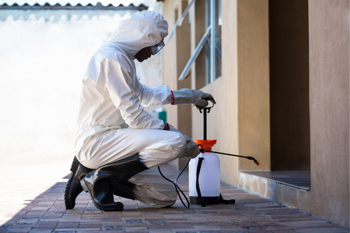 Top Commercial Pest Control Services in Pleasant Hill, CA -- Protect Your Business