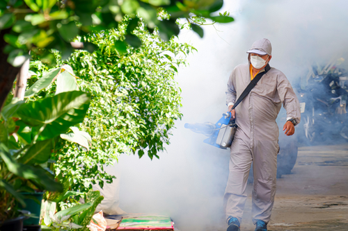  Expert Fumigation and Pest Control in Alameda, CA
