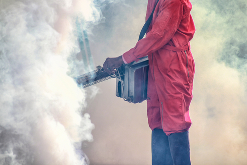 State-of-the-Art Fumigation Services in Palo Alto, CA - Quick Results