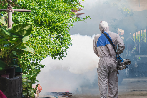  Full-Service Fumigation Solutions for San Mateo, CA - From Inspection to Elimination