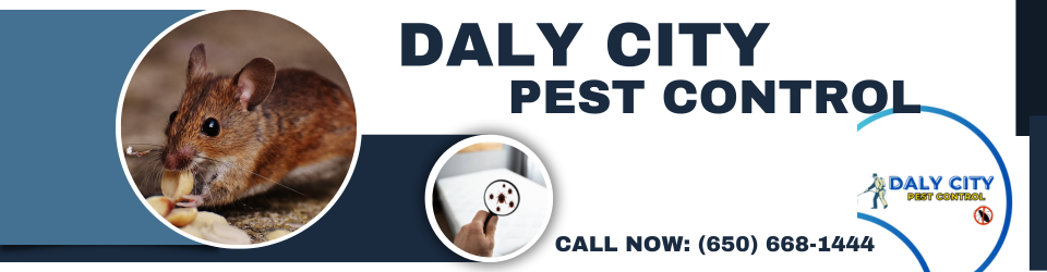 Daly City Pest Control