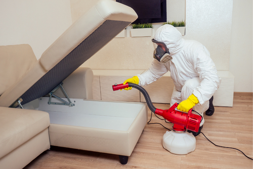  Insect-Free Living in San Leandro, CA - Professional Extermination Services