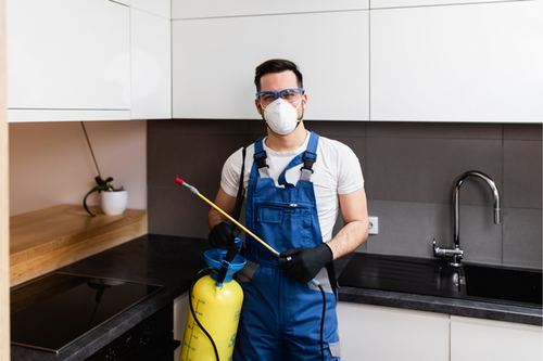 Expert Pest Control Services in Pacifica, CA - Guaranteed Elimination