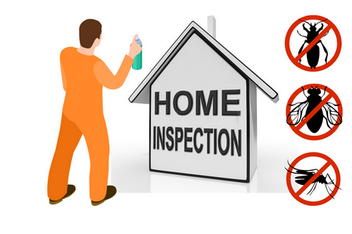  Immediate Property Pest Assessments in San Leandro, CA - Quick Turnaround